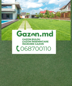 Gazon.md Gazon.md